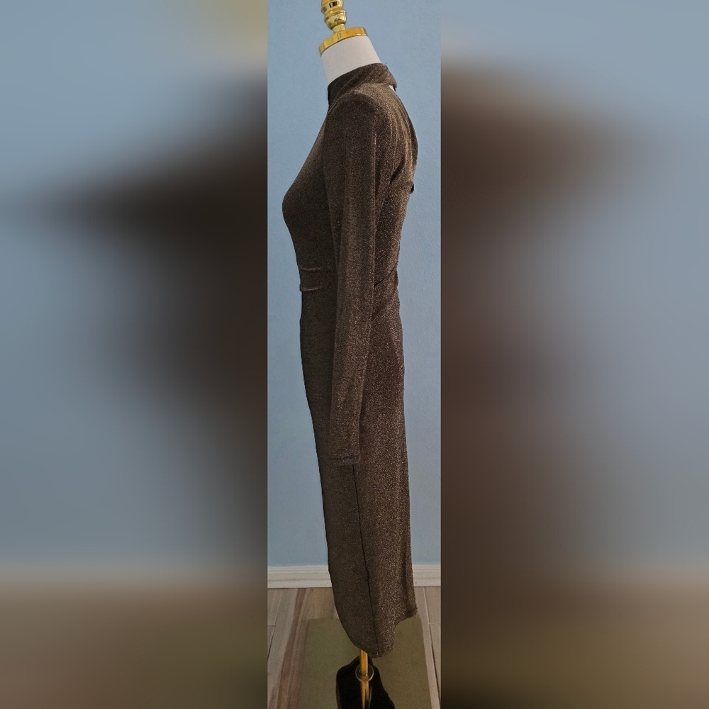 Ramy Brook Amarilys Dress Shimmering Brown Long Sleeve Dress - Picture 5 of 8